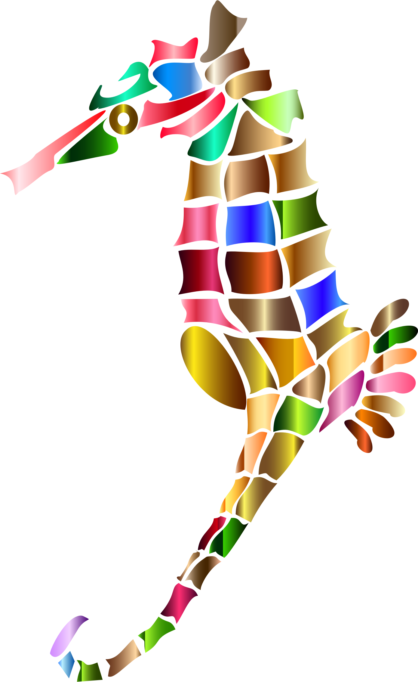 Big Image - Seahorse (1390x2266)