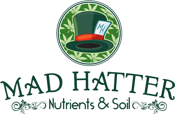 Mad Hatter Logo Design - Wesley College Perth Logo (600x400)