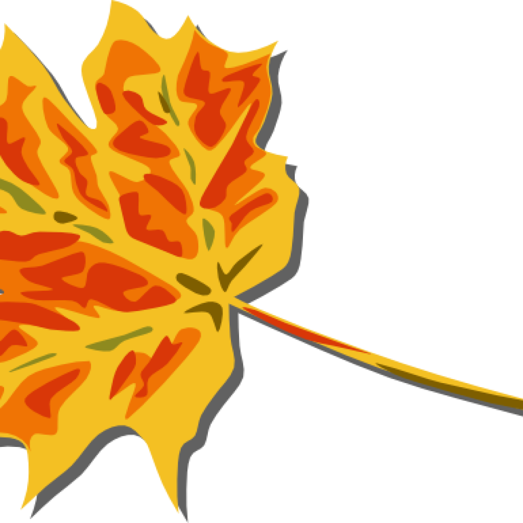 Fall Leaves Images Clip Art Fall Leaves Clip Art Free - Fall Leaves Clip Art (1024x1024)
