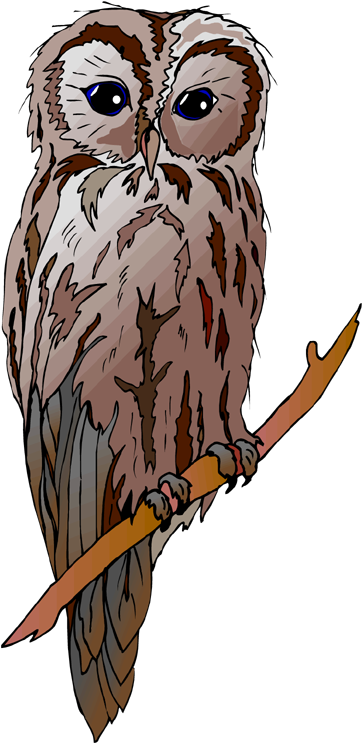 Vintage Halloween Image - Owl Drawing (366x750)