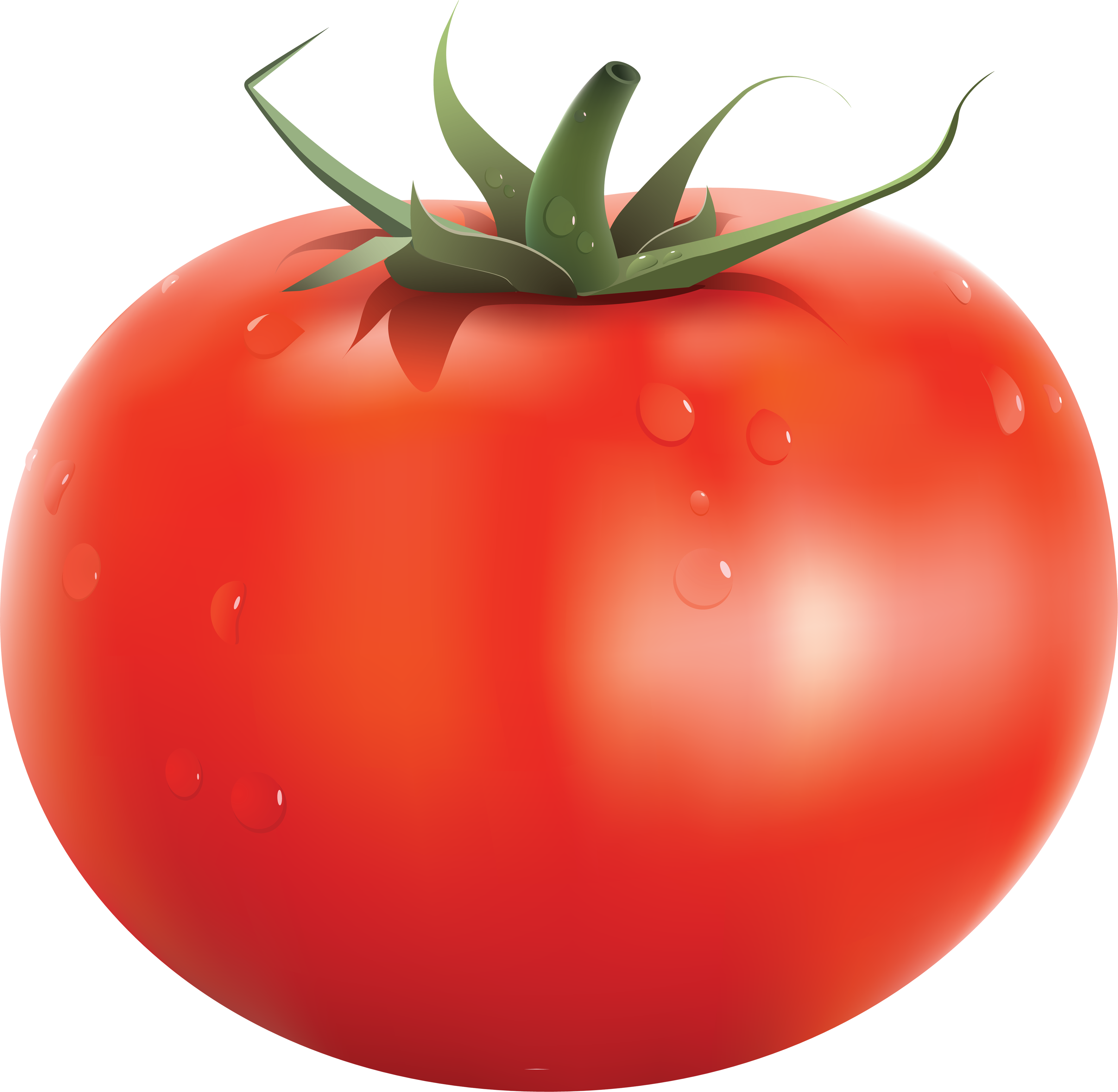 Cherry Tomato Clipart Transparent - Tomato Png Clipart (3531x3451)