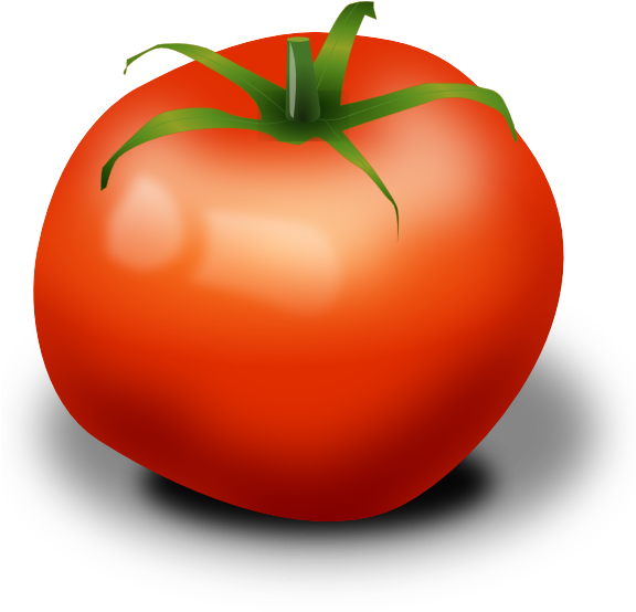 Tomato Clipart Transparent Background (600x553)