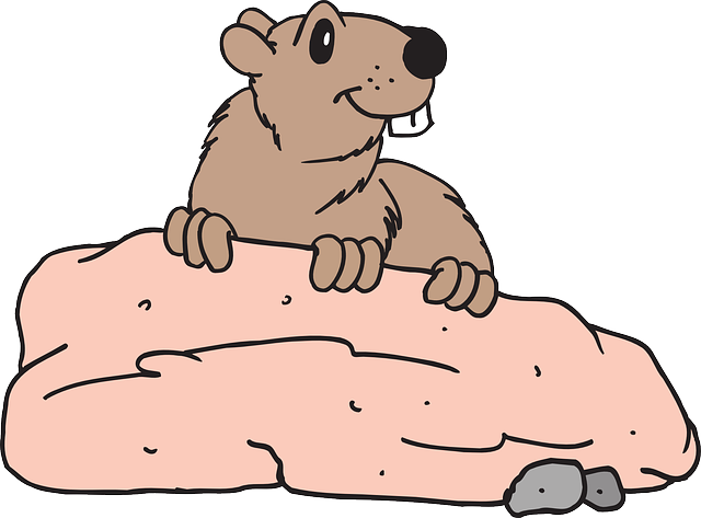 Rock, Cartoon, Beaver, Art, Animal, Teeth - Clip Art (640x473)