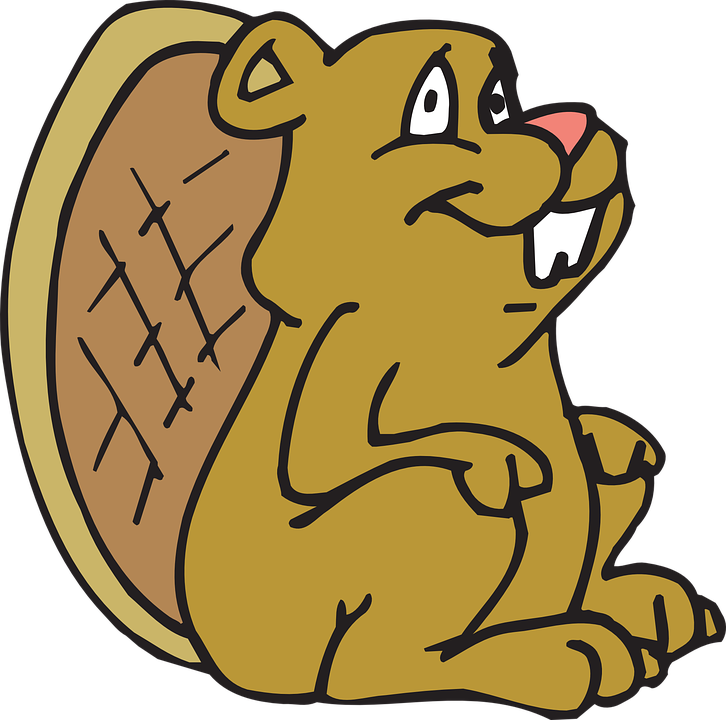 Cartoon Beaver Images 22, Buy Clip Art - Gif De Castores Animados (726x720)