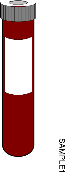 Blood Tube Clipart - Vial Of Blood Cartoon (216x585)