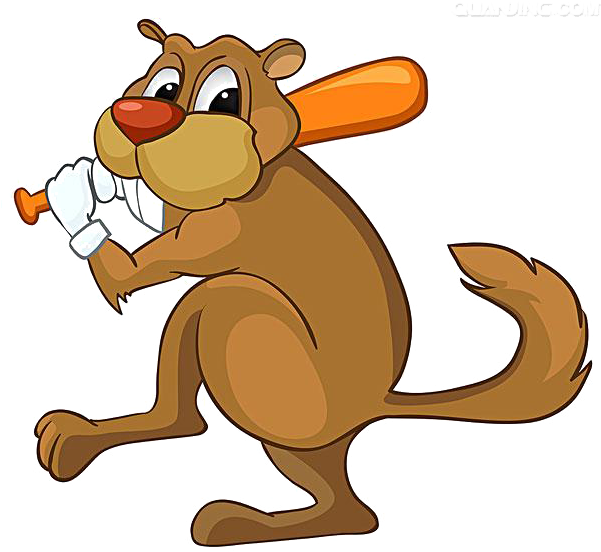 Beaver Drawing Dessin Animxe9 Illustration - Beaver Drawing Dessin Animxe9 Illustration (600x600)