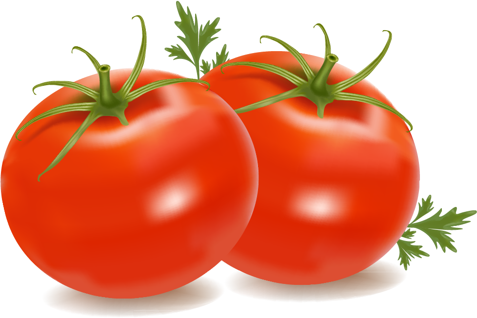 Cherry Tomato Clip Art - Cherry Tomato Clip Art (1425x936)