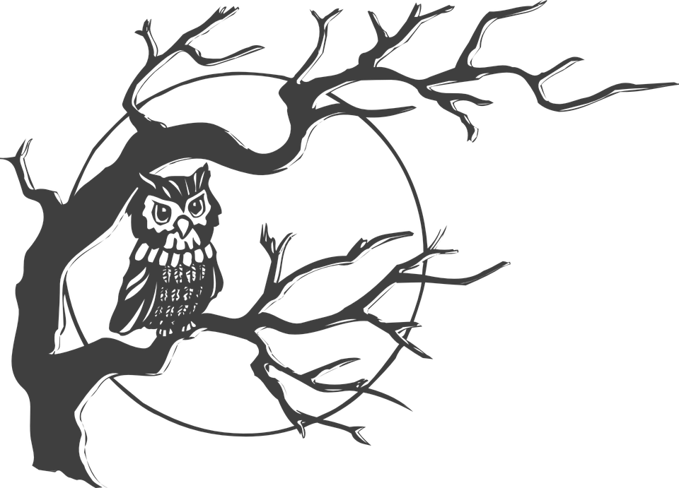 Creepy Clipart Moon - Owl On A Tree Drawing (960x691)