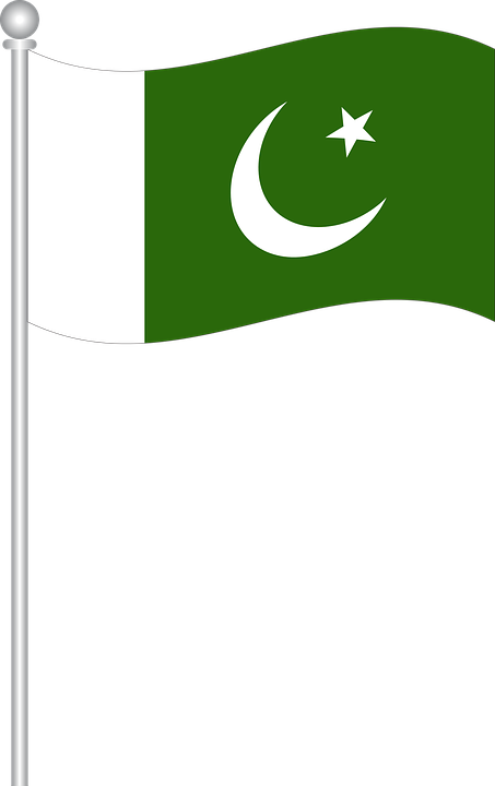 Pakistan Flag Vector Png (805x1280)