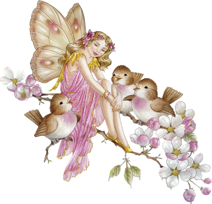Fairy Transparent Png - Have A Blessed Day Gif (679x656)