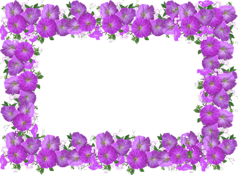 Frame, Border, Petunia - Bingkai Duka Cita Png (464x340)