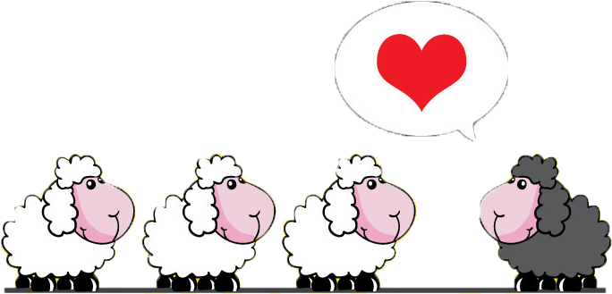 Sheep Cartoon Livestock - Sheep Cartoon Livestock (800x560)