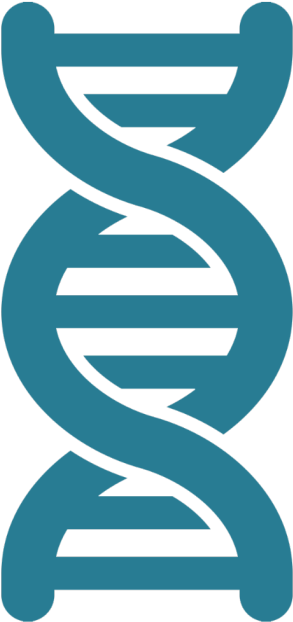 Biomedical Icon - Breast Cancer Risk Factor (620x814)