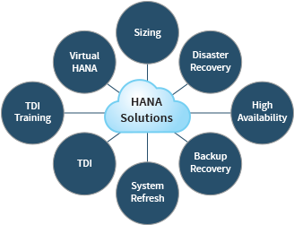 Hana Infrastructure Solutions - Grape (500x250)