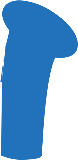 The Entire Display - Japanese Morning Glory (753x1800)