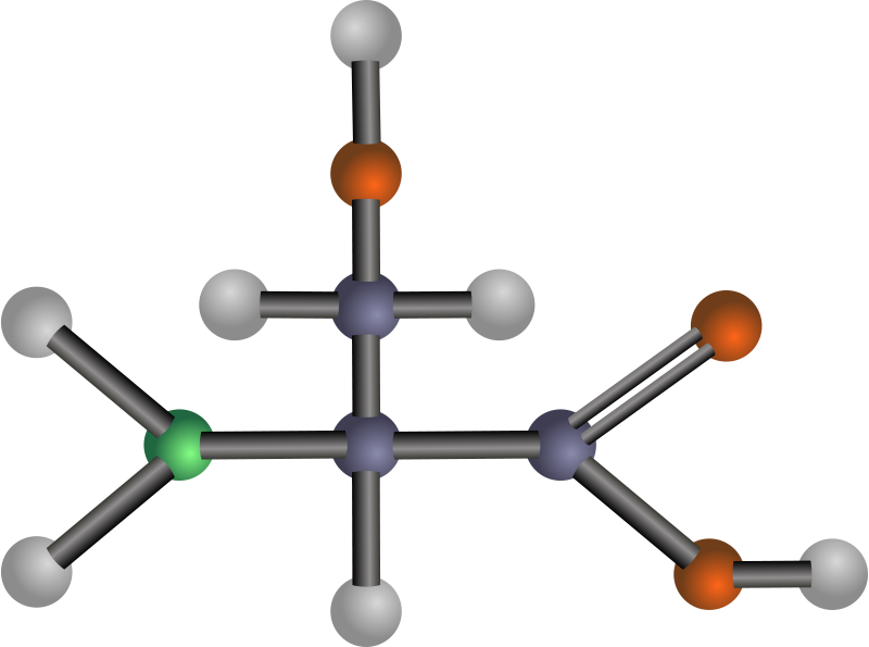Amino Acids: Biochemistry And Applications (2400x1788)