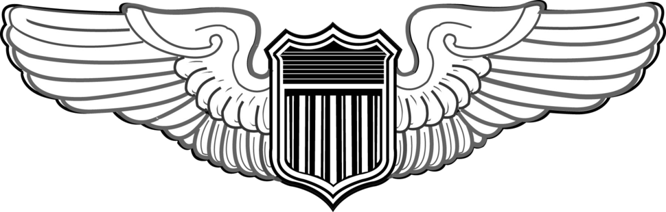Us Air Force Pilot Badge - Us Air Force Pilot Badge (970x310)