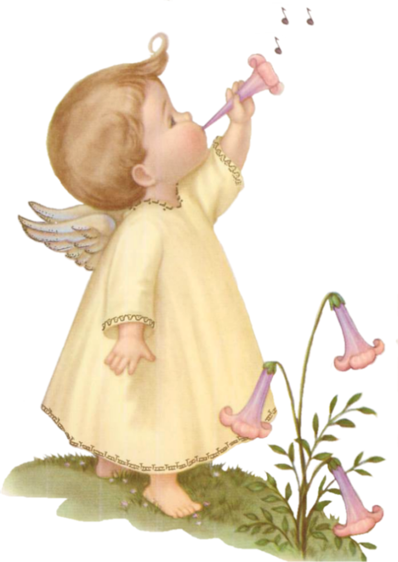 Flower Fairies - Angelitos Vintage (800x1129)