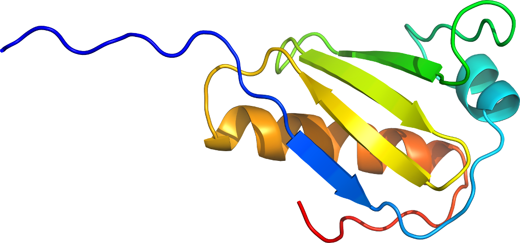 Graphic Design Line Clip Art - Graphic Design Line Clip Art (1071x500)