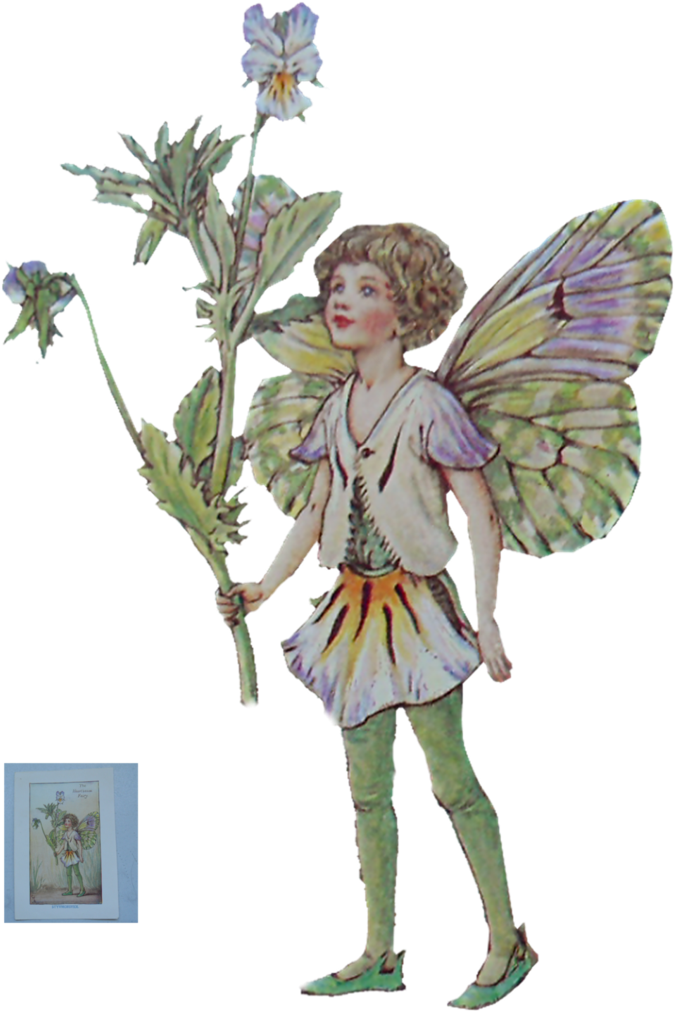 Flower Fairy By Magicsart - Flower Fairies Png (721x1108)