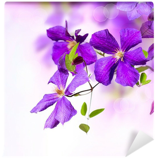 Violet Clematis Flowers Art Border Design Wall Mural - Beautiful Miss Brooke [book] (400x400)