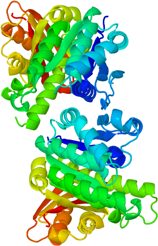 Cell Division Protein Ftsz From Mycobacterium Tuberculosis - Mycobacterium Tuberculosis (500x500)