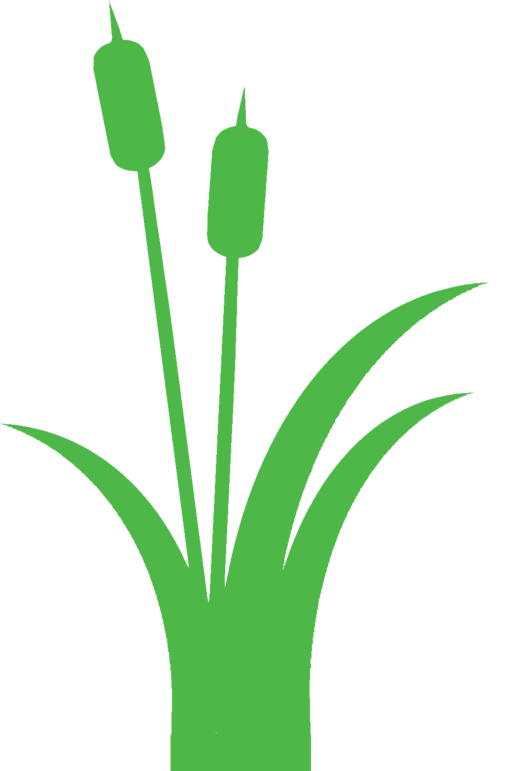 Cattail Black Clipart - Cattail (1122x1716)