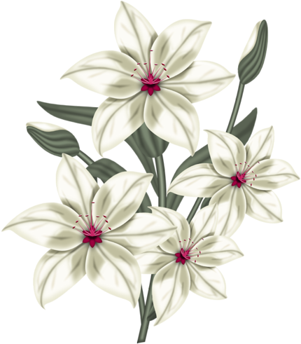 Fm Bloody Angel Element 5 - Lily (500x500)