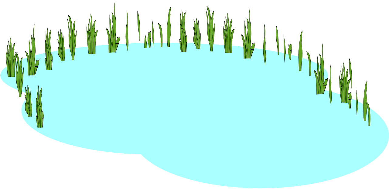 Freshwater Clipart - Lake Clipart No Background (1280x640)