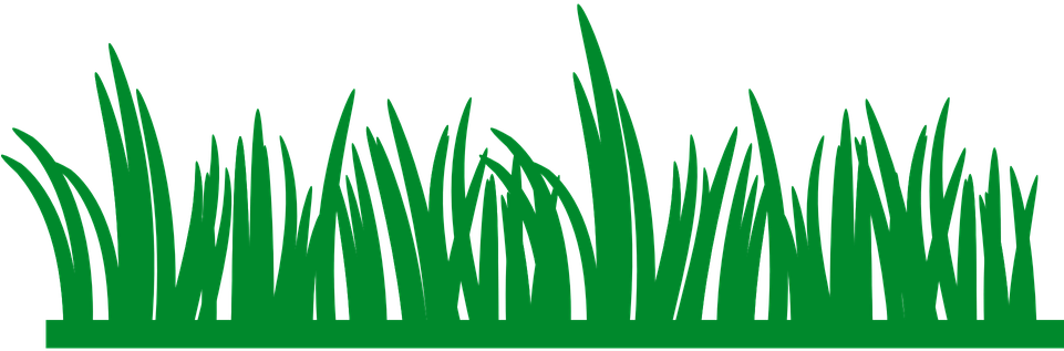 Drawn Lawn Marsh Grass - Grass Border Clip Art (960x480)