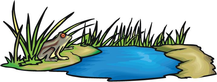 Pond Clipart Wetland - Wetland Clipart Png (717x272)