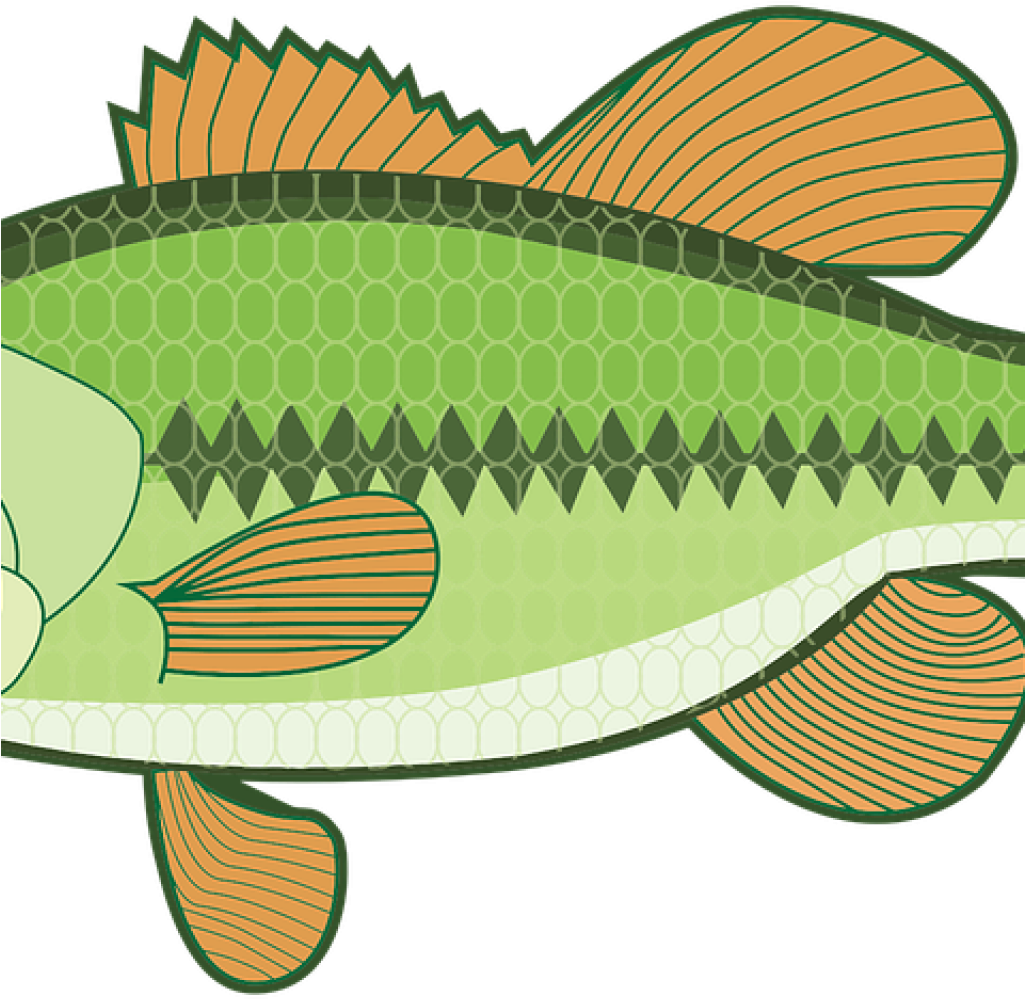 Bass Fish Clipart Animal Bass Fish Free Vector Graphic - Largemouth Bass Clipart (1024x1024)