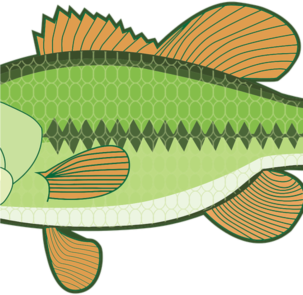 Bass Fish Clipart Animal Bass Fish Free Vector Graphic Largemouth