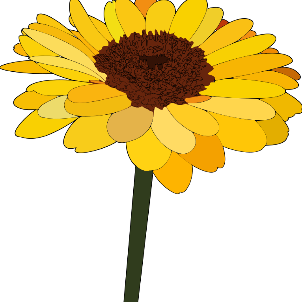 Sunflower Images Clip Art Free Realistic Sunflower - Sunflower Cartoon (1024x1024)