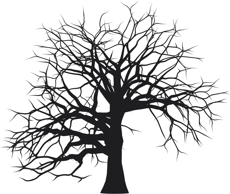 Bare Tree Branch Drawing For Kids - Silueta Arboles En Png (778x656)