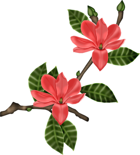 Fm Summerwind Element 55 - Magnolia Flower (452x500)