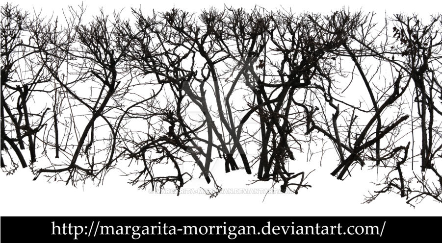 Bare Trees 2 By Margarita-morrigan - Bare Trees (900x511)