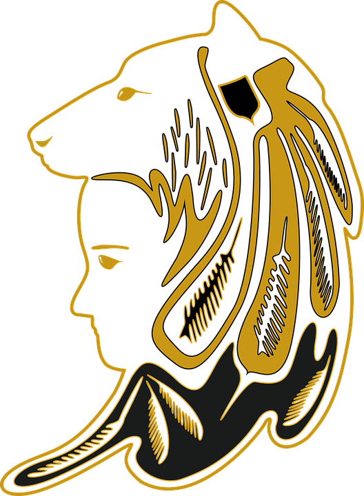 Wolf Head Art 26, - Vektor Kepala Serigala (528x720)