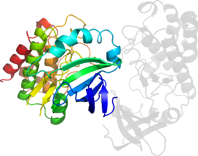 D5xkab In Context Of Pdb - Graphic Design (634x500)