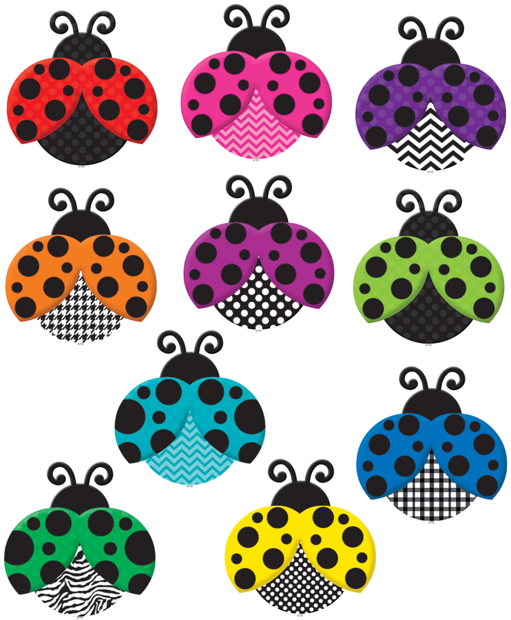 Tcr5414 Colorful Ladybugs Accents Image - Colorful Ladybugs (900x900)