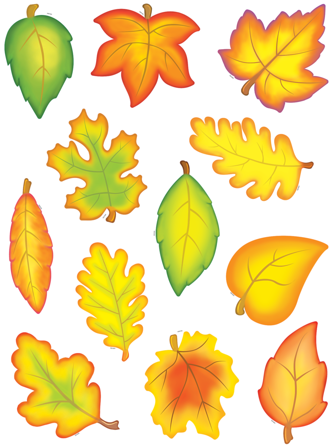 Tcr4419 Fall Leaves Accents Image - Teacher Created Resources Fall Leaves Accents Packs (900x900)