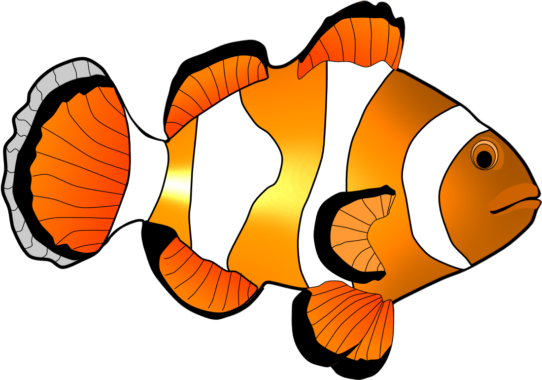 Clown Fish Clip Art - Coral Reef Fish (1123x794)