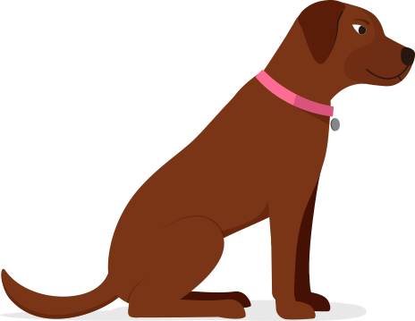 Computer Program (464x359)