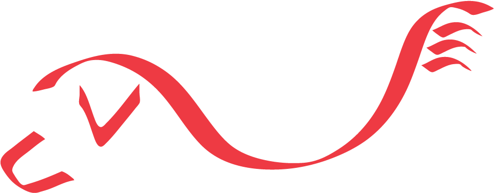 About Mdf - Mountain Dog Food Logo (971x397)