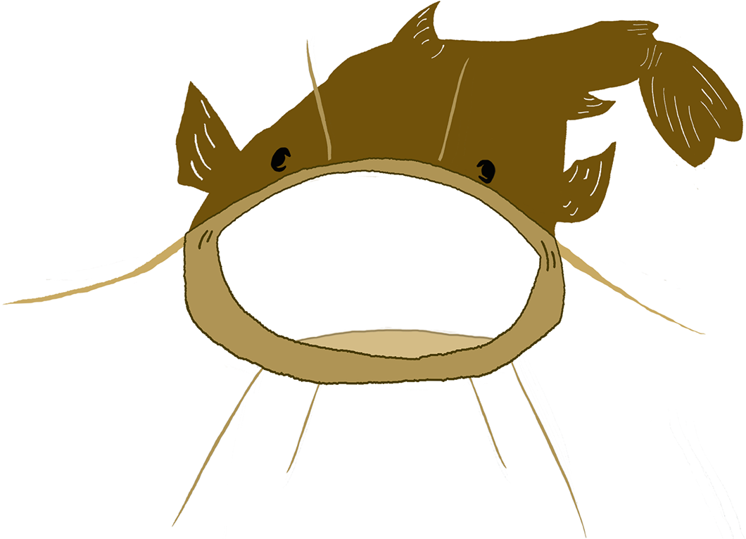 - About - - Catfish (1183x783)