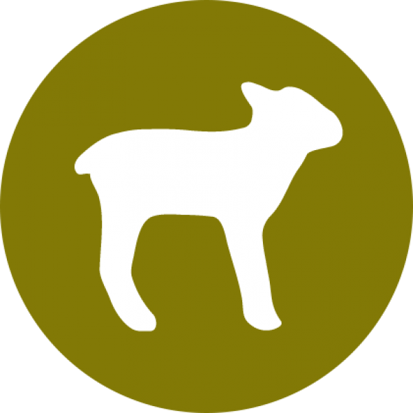 Halo Uses Only Real Whole Meat, Poultry, Or Fish, And - Mile End Tube Station (600x600)