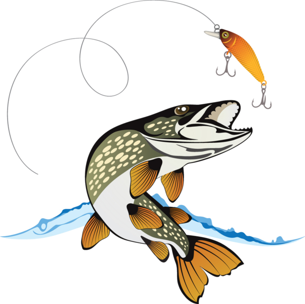 Northern Pike Royalty-free Stock Photography Illustration - Cartoon Pike Fish (600x598)