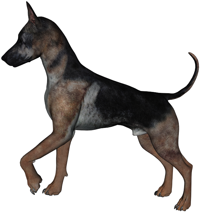 Free High Resolution Graphics And Clip Art - Portable Network Graphics (1000x707)