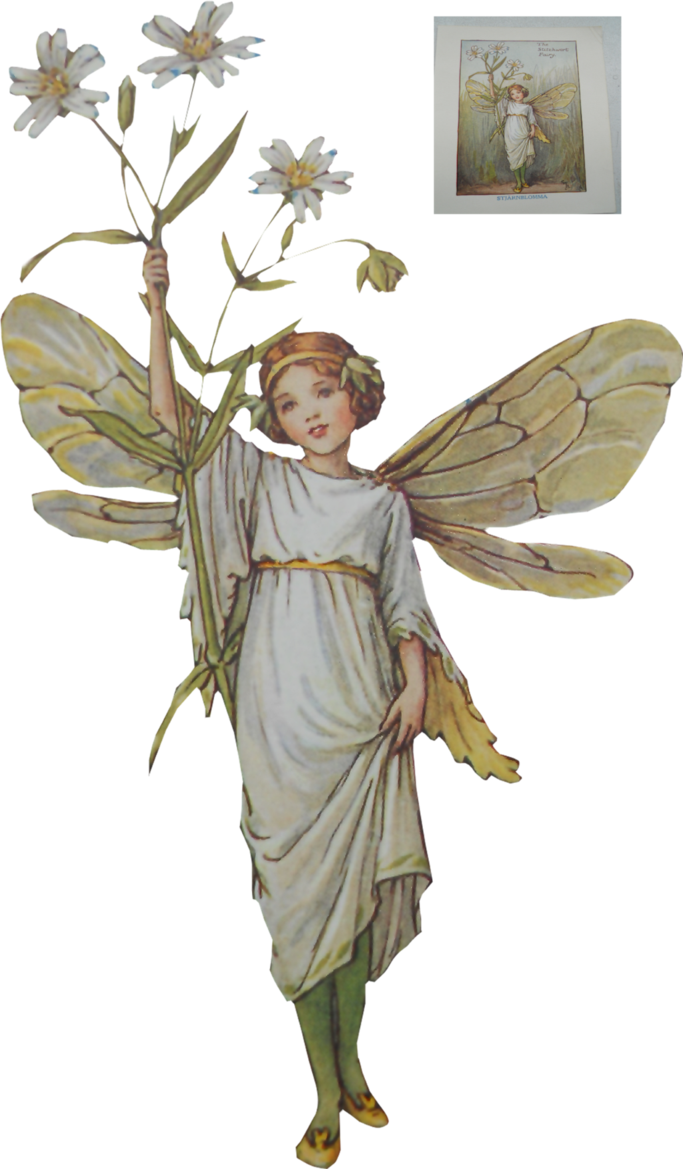 Flower Fairy By Magicsart - Cicely Mary Barker Flower Fairies (683x1169)