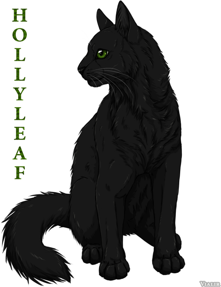 Vialir Warrior Crowfeather (815x980)